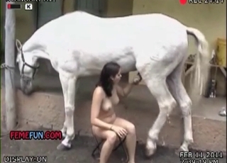 Amateur fucked by a nasty horse