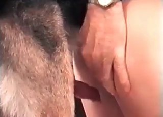 Dog penetrating juicy twat