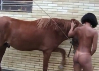 Ebony and her submissive horse