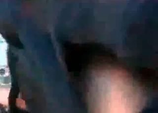 Doberman penetrates a zoophile