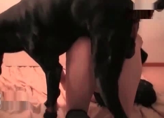 Slut penetrated by a dog