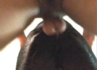 Horny dude and his dog