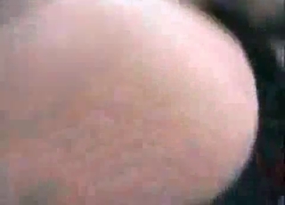 Babe nailed hardcore by tyke