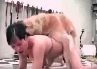 Babe nailed hardcore by tyke