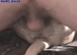 Dog is getting screwed so hard