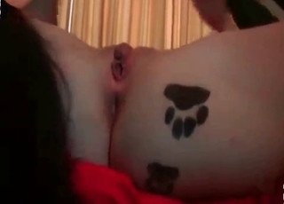 Zoo sex with a pooch