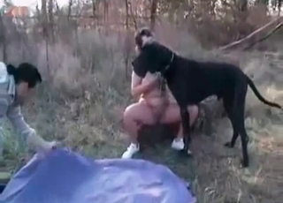 Outdoor zoo porn with a dog
