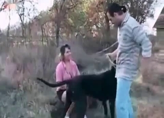Outdoor zoo porn with a dog