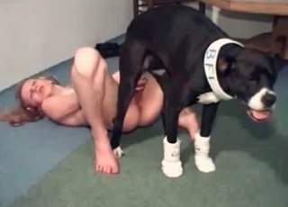 Riding pooches dick