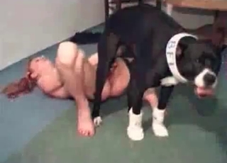 Riding pooches dick