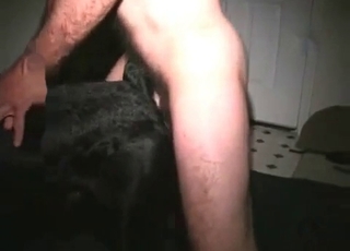 Hard cock of a hound