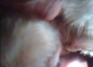 Just screwing my lovely dog