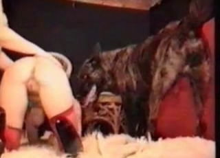 Impressive zoophilic threesome sex