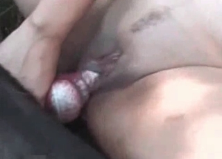 Nasty bestial porn with a dog
