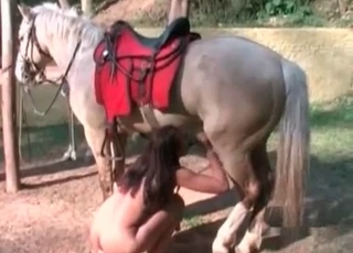 Horny horse and an Ebony