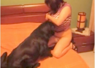 Doggy is licking my wet muff