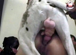 Stunning action with a doggy