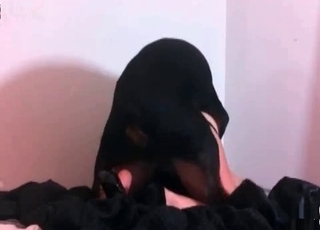 Hardcore bulldog drills a slut