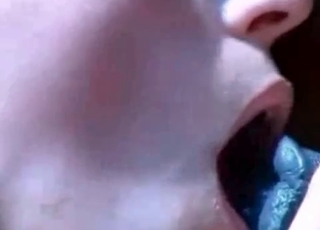 Mutt enjoying a blowjob