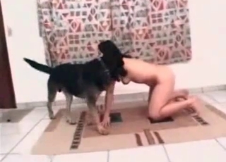 Bestiality porn with a cur