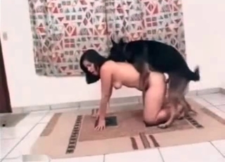 Bestiality porn with a cur