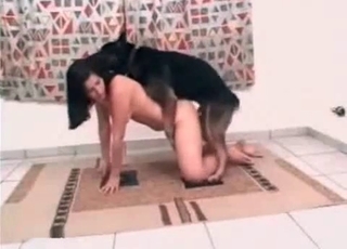 Bestiality porn with a cur
