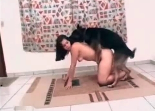 Bestiality porn with a cur