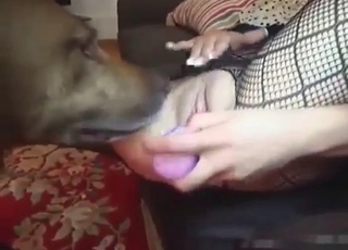 Skinny bitch sucks a doggy dick