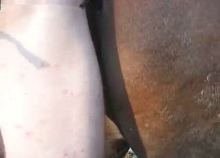 Brown stallion fucked hard