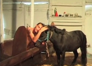 Zoophile and his black pony