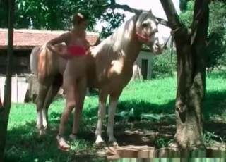 Masturbation action with a horse