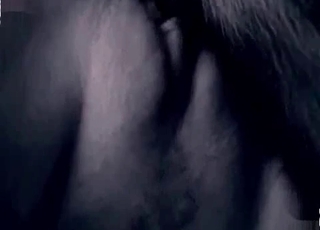 Black and white zoophilic sex