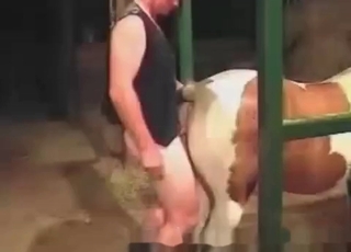 Anal sex in the zoo porn