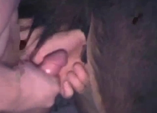 Zoophile fingers a sexy horse