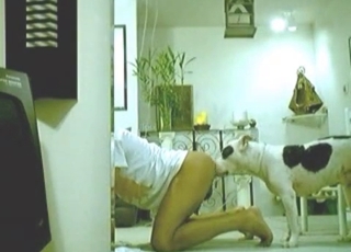 Gay guy gets a great rimjob from a dog