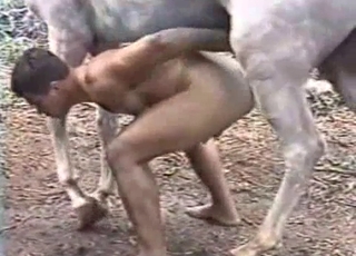 Insane outdoors gay sex with a stallion