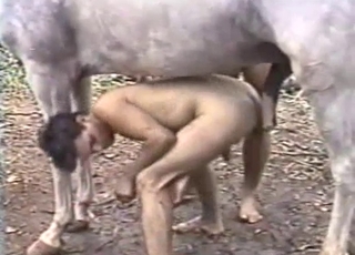 Insane outdoors gay sex with a stallion