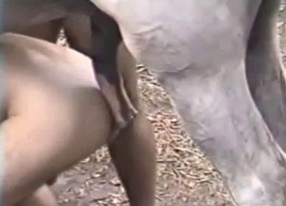 Insane outdoors gay sex with a stallion