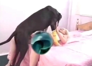 Petite babe with a black mongrel