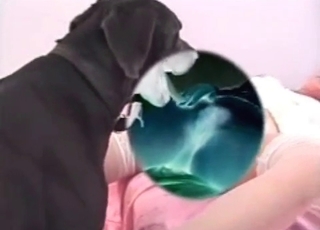 Petite babe with a black mongrel