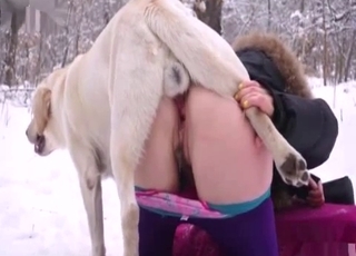 Wintertime bestiality with a hot doggo