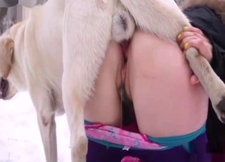 Wintertime bestiality with a hot doggo