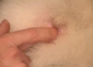 Guy thoroughly licking that animal cunt
