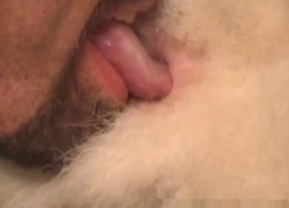 Guy thoroughly licking that animal cunt