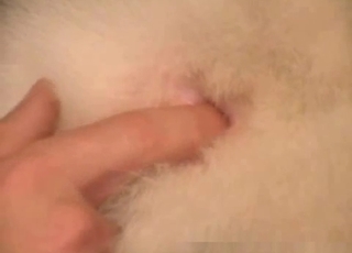 Guy thoroughly licking that animal cunt
