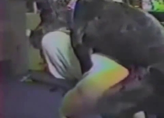 Doberman drills that warm human hole