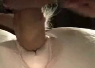 White horse gets gaped by a human dick