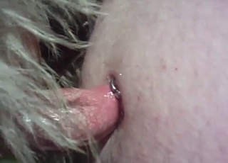 The kinkiest kind of penetration ever