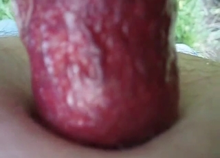 The kinkiest kind of penetration ever