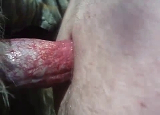 The kinkiest kind of penetration ever